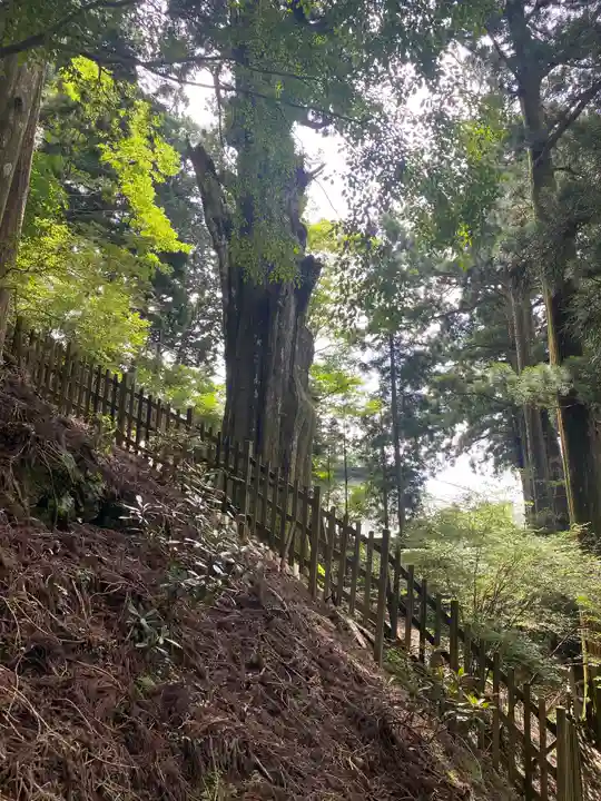 玉置神社(奈良県)