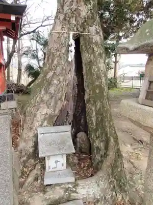 楢神社のその他建物