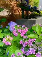 仙台大神宮の自然