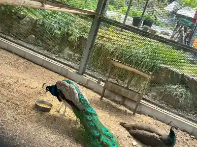 天台宗 五大山 白毫寺(兵庫県)