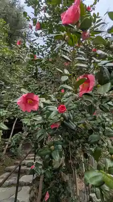 大豊神社(京都府)