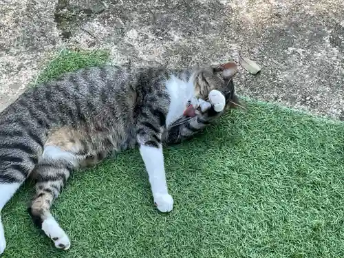王子神社(徳島県)
