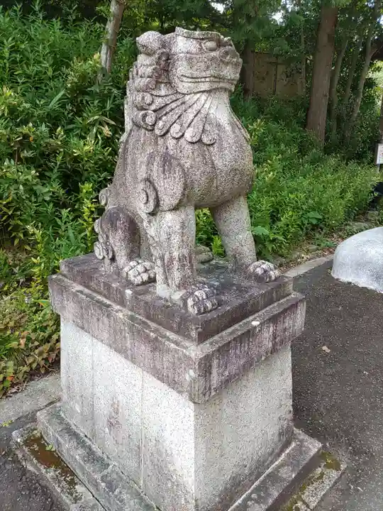 宮城縣護國神社の狛犬