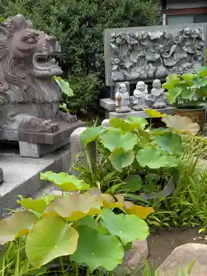 長善寺(東京都)