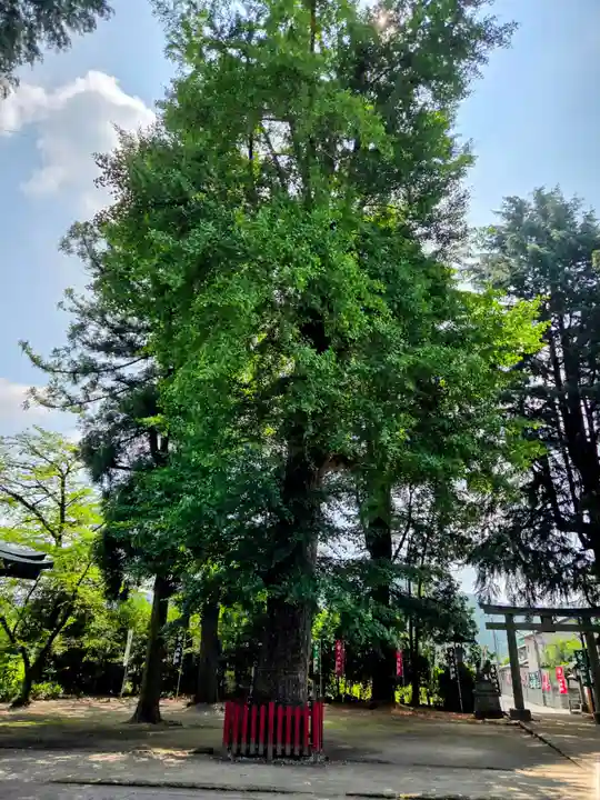 八坂神社(葛生町)(栃木県)