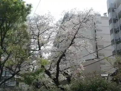 大井蔵王権現神社(東京都)