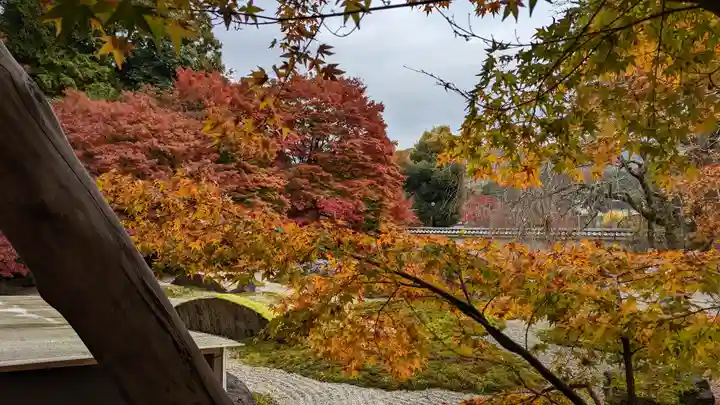 実相院門跡(京都府)