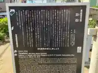 立石稲荷神社の{uncategorized: "未分類", other: "その他", undefined: "問題あり", building: "その他建物", grave: "お墓", sacred_gate: "鳥居", guardian: "狛犬", statue: "像", buddha: "仏像", history: "歴史", nature: "自然", garden: "庭園", animal: "動物", pagoda: "塔", temizu: "手水舎", mountain_gate: "山門・神門", sanctuary: "本殿・本堂", subordinate: "末社・摂社", art: "芸術", scenery: "景色", jizo: "地蔵", ema: "絵馬", goshuin: "御朱印", omikuji: "おみくじ", items: "授与品その他", amulet: "お守り", goshuincho: "御朱印帳", eats: "食事", festival: "お祭り", votive_dance: "神楽", shichigosan: "七五三参", wedding: "結婚式", experience: "体験その他", initially: "初詣", around: "周辺", anti_infection: "感染症対策"}