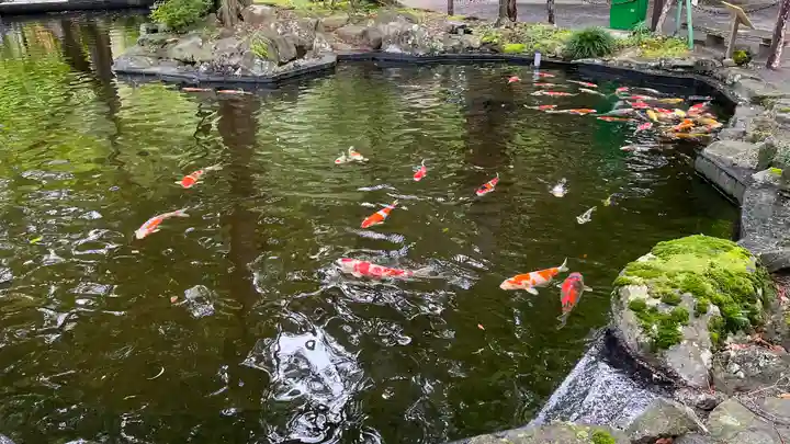 伊豆山神社(静岡県)