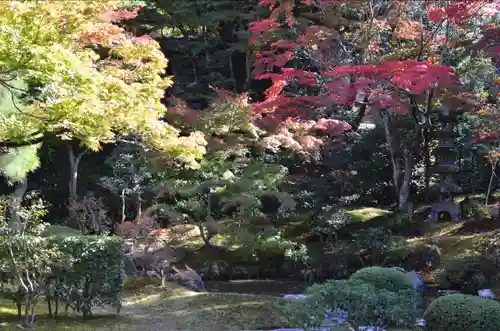 御寺 泉涌寺の庭園