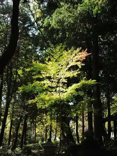 浄土寺(兵庫県)