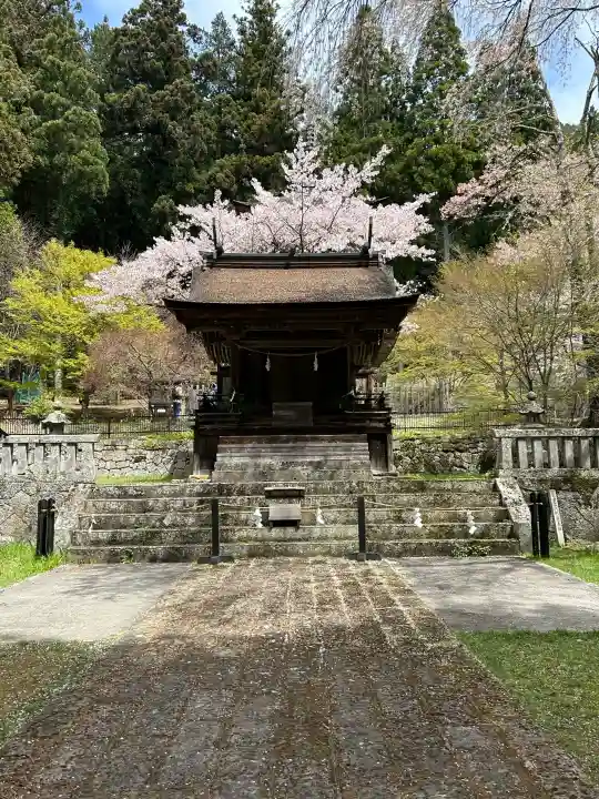 新海三社神社の{uncategorized: "未分類", other: "その他", undefined: "問題あり", building: "その他建物", grave: "お墓", sacred_gate: "鳥居", guardian: "狛犬", statue: "像", buddha: "仏像", history: "歴史", nature: "自然", garden: "庭園", animal: "動物", pagoda: "塔", temizu: "手水舎", mountain_gate: "山門・神門", sanctuary: "本殿・本堂", subordinate: "末社・摂社", art: "芸術", scenery: "景色", jizo: "地蔵", ema: "絵馬", goshuin: "御朱印", omikuji: "おみくじ", items: "授与品その他", amulet: "お守り", goshuincho: "御朱印帳", eats: "食事", festival: "お祭り", votive_dance: "神楽", shichigosan: "七五三参", wedding: "結婚式", experience: "体験その他", initially: "初詣", around: "周辺", anti_infection: "感染症対策"}
