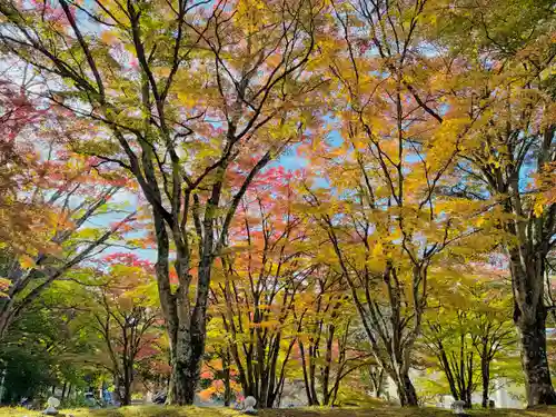 土津神社｜こどもと出世の神さま(福島県)