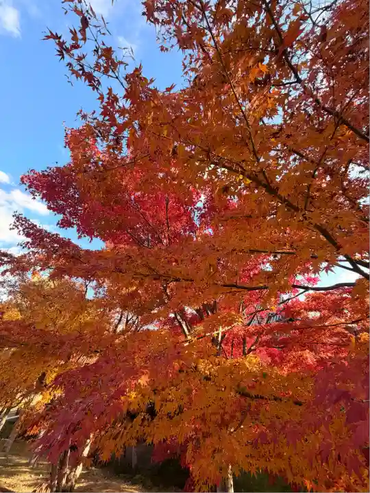 智積院(京都府)