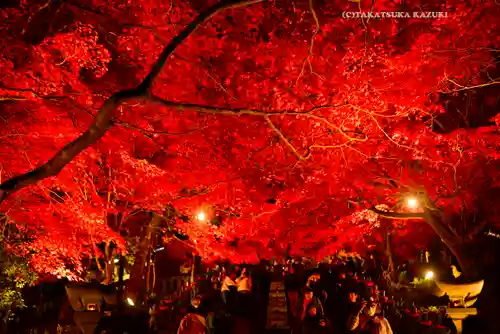 大山寺(神奈川県)