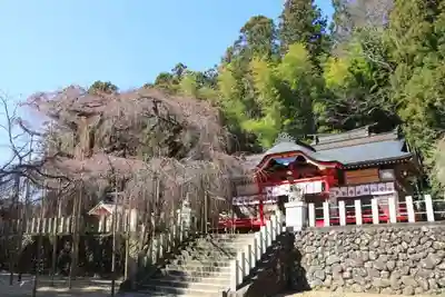 小川諏訪神社の本殿・本堂