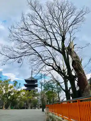 東寺鎮守八幡宮・東寺境内社八島殿のその他建物