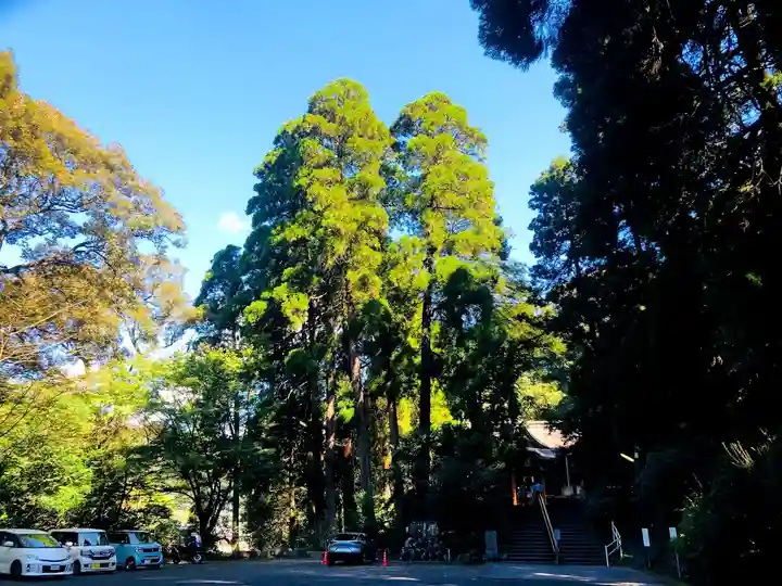 花尾神社(鹿児島県)