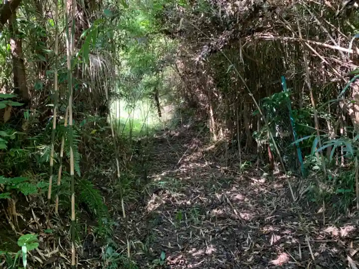 蔵王神社の自然