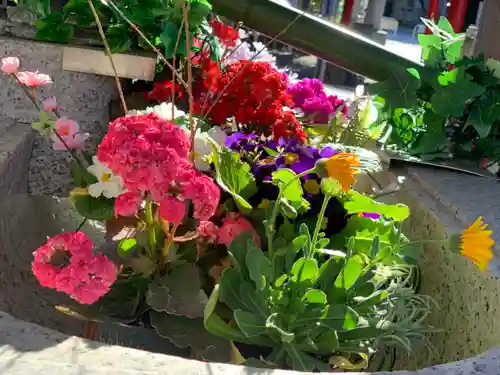 新田神社の手水舎