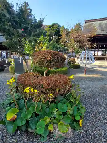 沙沙貴神社(滋賀県)