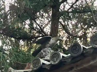 小竹八幡神社の{uncategorized: "未分類", other: "その他", undefined: "問題あり", building: "その他建物", grave: "お墓", sacred_gate: "鳥居", guardian: "狛犬", statue: "像", buddha: "仏像", history: "歴史", nature: "自然", garden: "庭園", animal: "動物", pagoda: "塔", temizu: "手水舎", mountain_gate: "山門・神門", sanctuary: "本殿・本堂", subordinate: "末社・摂社", art: "芸術", scenery: "景色", jizo: "地蔵", ema: "絵馬", goshuin: "御朱印", omikuji: "おみくじ", items: "授与品その他", amulet: "お守り", goshuincho: "御朱印帳", eats: "食事", festival: "お祭り", votive_dance: "神楽", shichigosan: "七五三参", wedding: "結婚式", experience: "体験その他", initially: "初詣", around: "周辺", anti_infection: "感染症対策"}