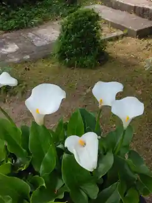 當麻寺中之坊の自然