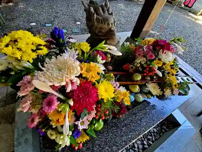 滑川神社 - 仕事と子どもの守り神の手水舎