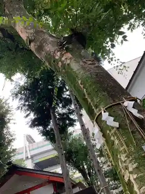 くまくま神社(導きの社 熊野町熊野神社)のその他建物