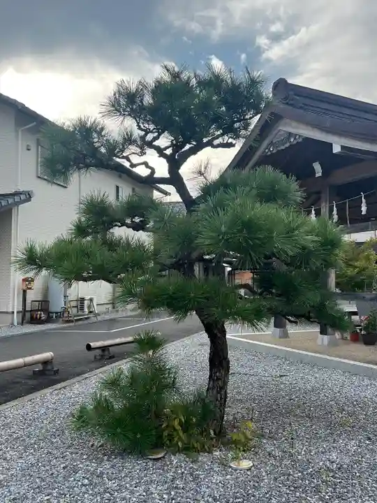 眞中神社(岐阜県)