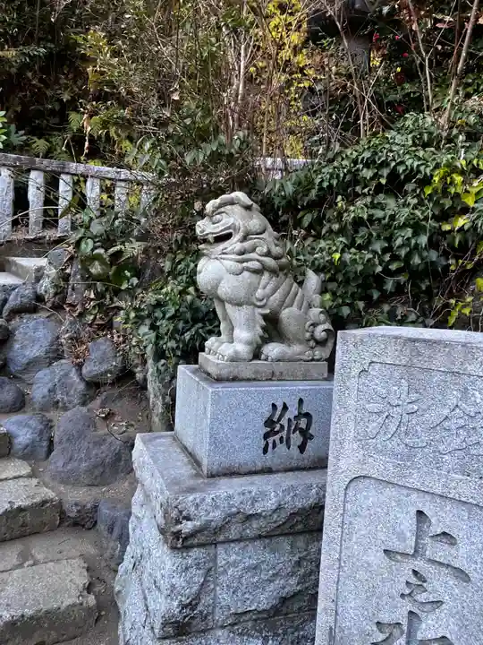 銭洗弁財天宇賀福神社の狛犬
