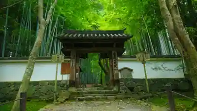 地蔵院(京都府)