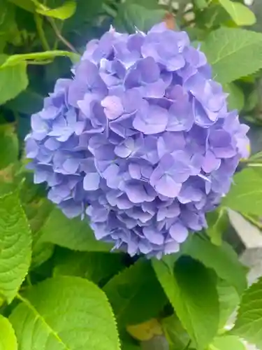 當光寺(東京都)