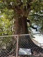 一之御前社(愛知県)