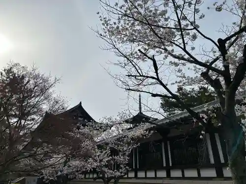 法隆寺(奈良県)