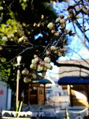新井天神北野神社(東京都)