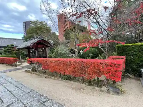 清光寺(三重県)