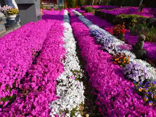 寿量山　速成寺の自然
