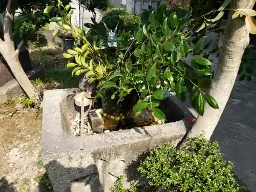 酒見神社の手水舎