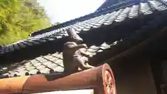 天津神社の狛犬