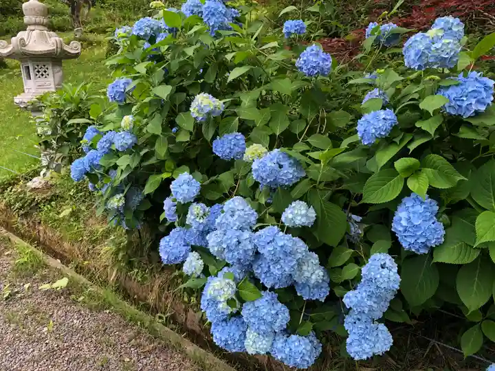 普門院(文知摺観音)の自然