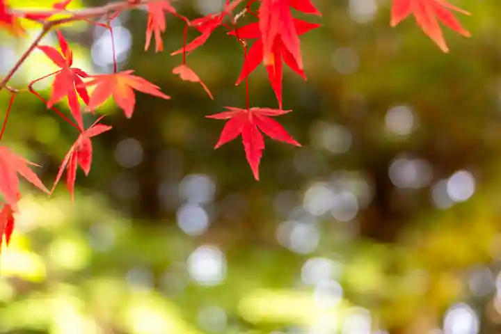 武水別神社(長野県)