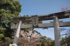 武田神社の鳥居