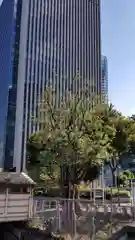 太田姫稲荷神社跡（一口神社）の自然