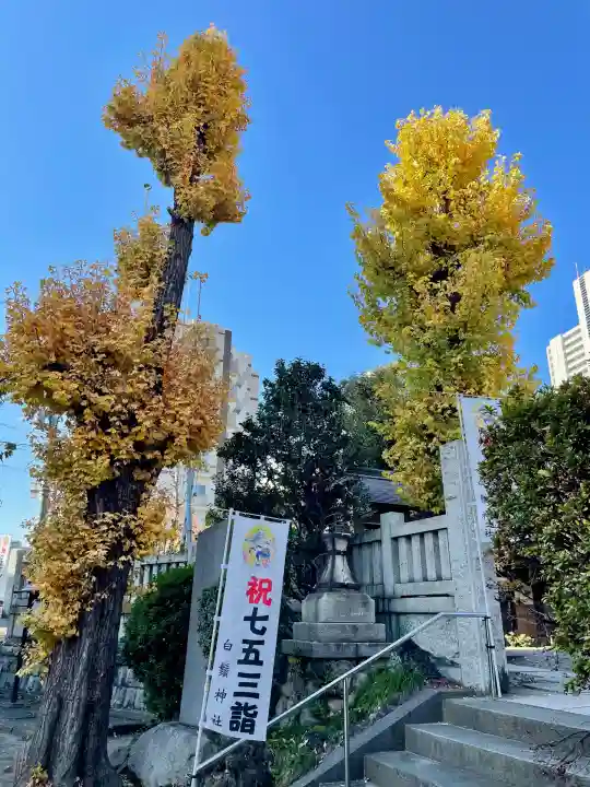 白鬚神社(東京都)