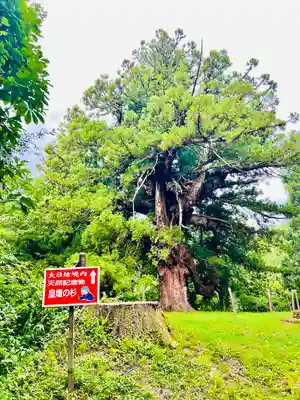 瀧水寺大日坊(山形県)