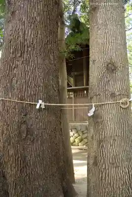 鶴嶺八幡宮(神奈川県)