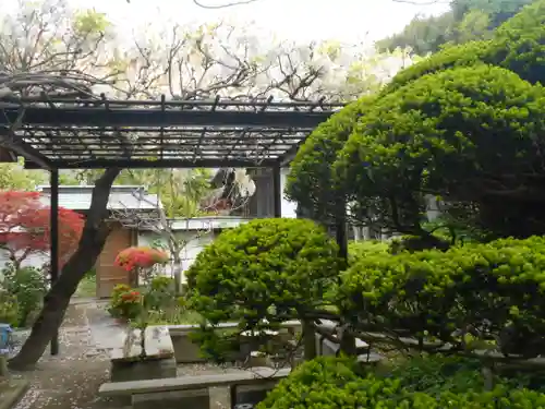 極楽寺（霊鷲山感應院極楽律寺）の庭園