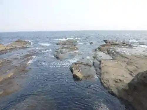 江島神社の自然