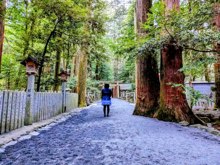 椿大神社の自然